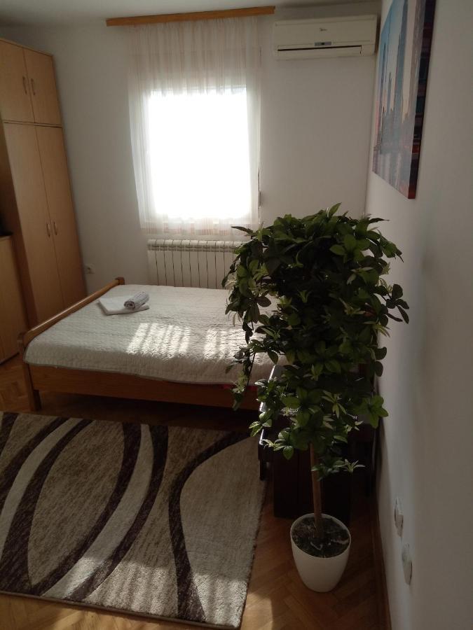 Cozy Studio Belgrád Kültér fotó